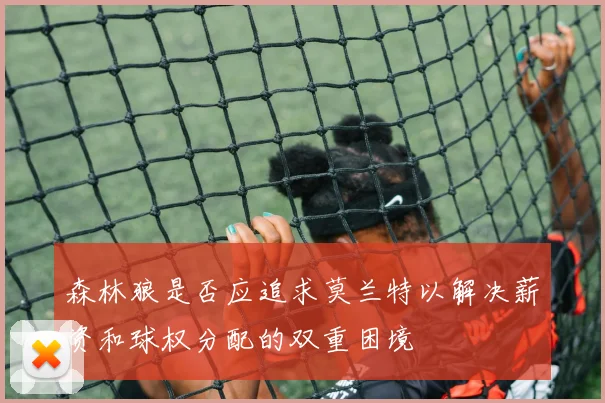 森林狼是否应追求莫兰特以解决薪资和球权分配的双重困境