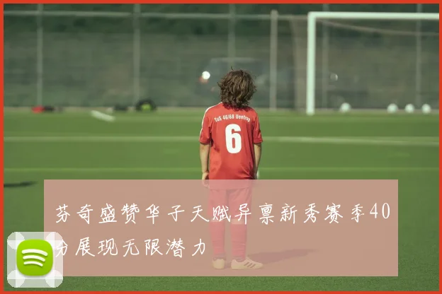 芬奇盛赞华子天赋异禀新秀赛季40分展现无限潜力