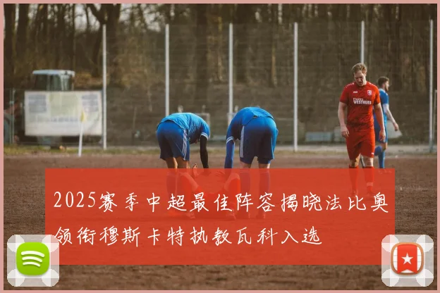 2025赛季中超最佳阵容揭晓法比奥领衔穆斯卡特执教瓦科入选