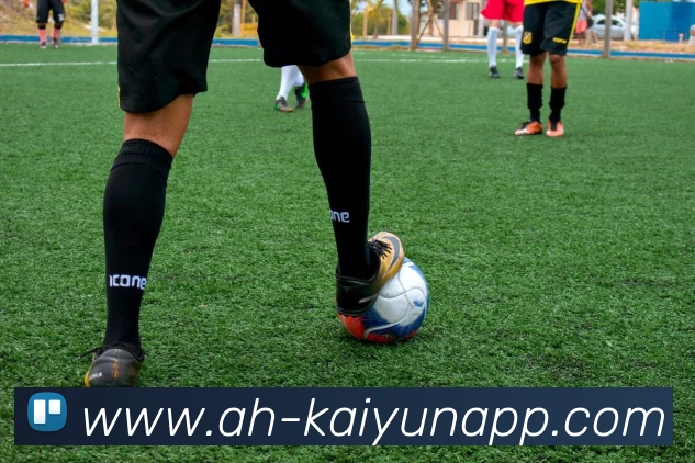 开云体育服务体系